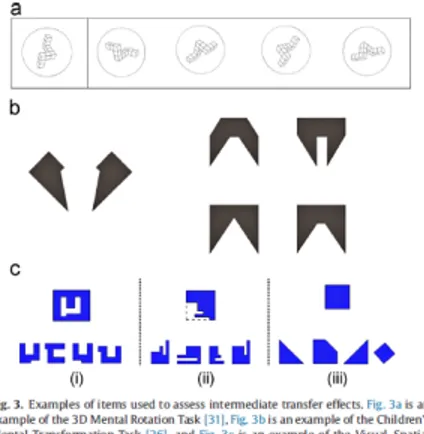 Figure 8. Examples of items used to measure intermediate transfer effects. 