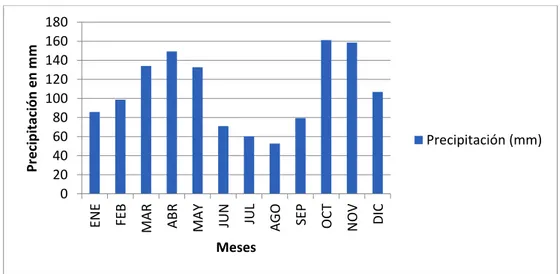 Figura 5. Distribución de la precipitación media mensual en milímetros en la microcuenca del río  Panches  020406080100120140160180