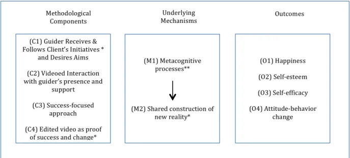 Figure 4. Explanatory model of the success of Videofeedback 