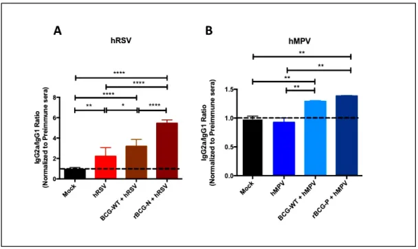 Figure 6. The rBCG strains induce a strong IgG2a isotype switching after a viral infection