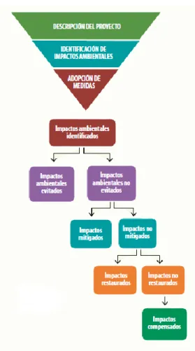 Ilustración 3 Jerarquía de la mitigación. 