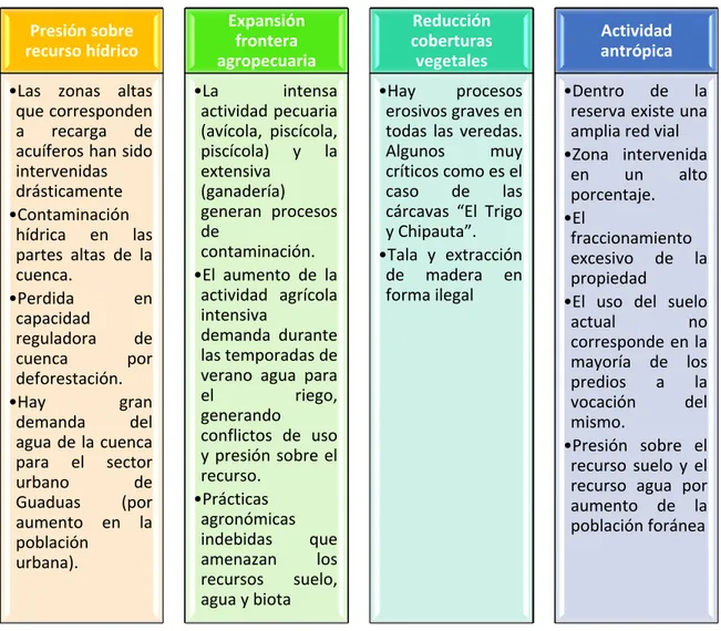 Figura 4- Problemáticas ambientales Reserva Forestal Protectora Cuenca del Río San Francisco