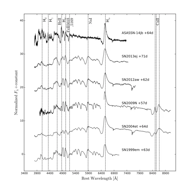 Figure 4.8: Comparison of photospheric phase spectra at ≈ 50 days after explosion. Each spectra has been only redshift corrected.