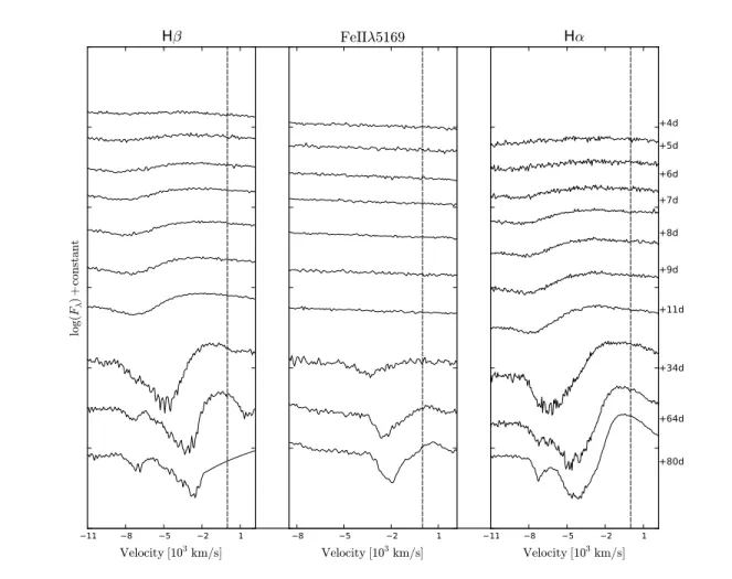 Figure 4.9: Evolution of the Hβ (left), Fe II λ5169 (middle) and Hα (right) profiles, in velocity space, as a function of time after explosion t 0 = 56946.1 ± 3 (MJD), in the plateau phase for ASASSN-14jb (up to 80 days past explosion)