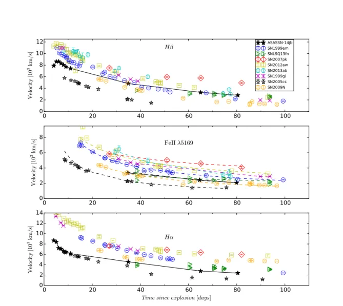 Figure 4.11: Expansion velocities of the Hβ (top), Fe II λ5169 (middle), and Hα (bottom) lines as a function of time after explosion in the plateau phase, measured from the P-cygni profile minima of the Balmer lines Hα, Hβ and the Fe II λ5169 line for ASAS