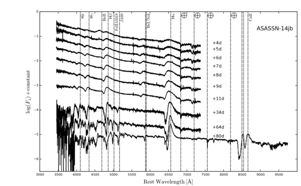 Figure 4.4: The full spectroscopic time series, in logarithmic scale and corrected by redshift (z = 0.006031), for ASASSN-14jb in the photospheric phase (up to 80 days past explosion).