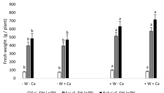 Figure  4.  Fresh  weight of  shoots+leaves  (S+L), shoots+leaves+fruits  (S+L+F) and  roots+shoots+leaves+fruits  (R+S+L+F)  of  water  stress  and  without  calcium  supply  plants  (-W-Ca);  water  stress  and  calcium  supply  (-W+Ca);  optimum  wateri