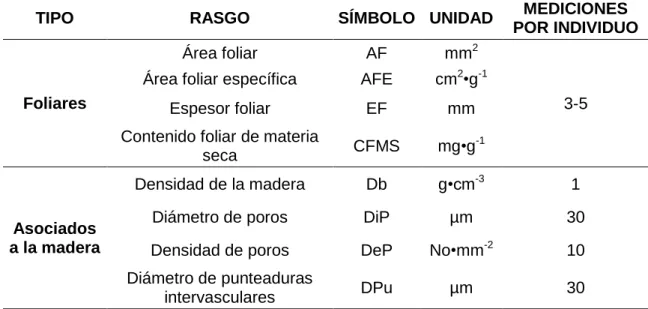 Tabla 2. Rasgos funcionales a determinar 