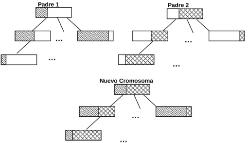 Figura 2.4  Operación de cruzamiento multinivel para los genes de control y  paramétricos 