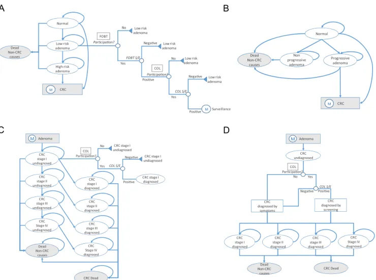 Fig. 2 – Deep model diagrams. Comparison of model structures implemented to simulate adenoma and CRC natural history.