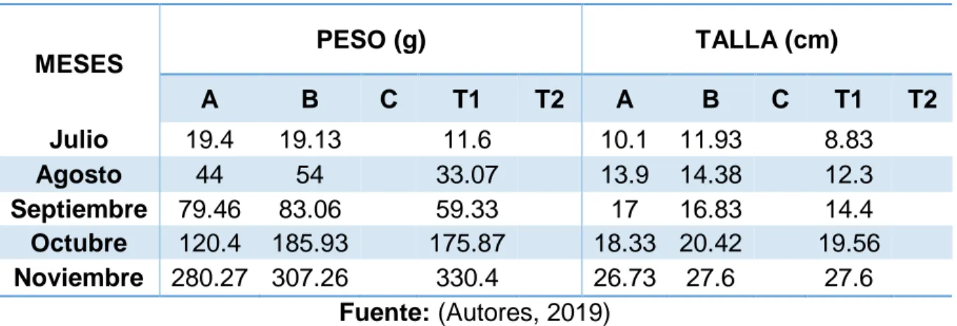 Tabla 20 Promedio de Peso y Talla 