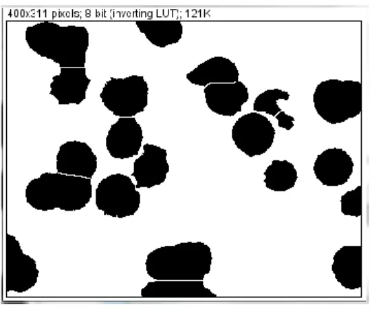 Fig. 2.34 Máscaras. 