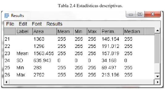 Tabla 2.4 Estadísticas descriptivas. 