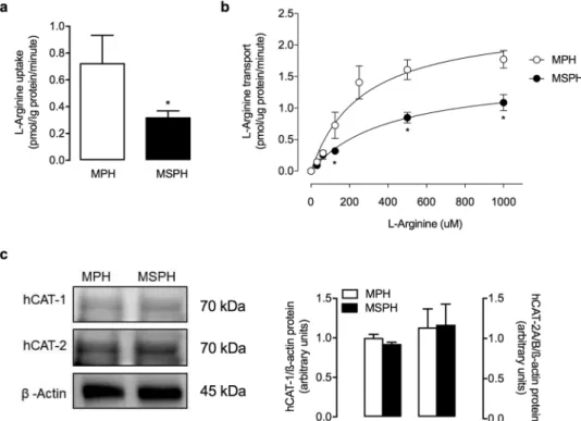 Table 2) without changes in their sensitivity (EC 50 ) (Table 2). Since the effects of CGRP and adenosine were  almost abolished by NOS inhibition with L-NAME (Fig. 1d,e), we suggest that the response to these molecules is  dependent on NOS activity in the