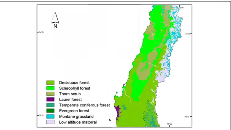 FIGURE 2 | Natural vegetation in central-southern Chile. Source: Luebert and Pliscoff (2006).