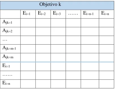 Tabla 3.8. Matriz de relaciones                               Objetivo k 