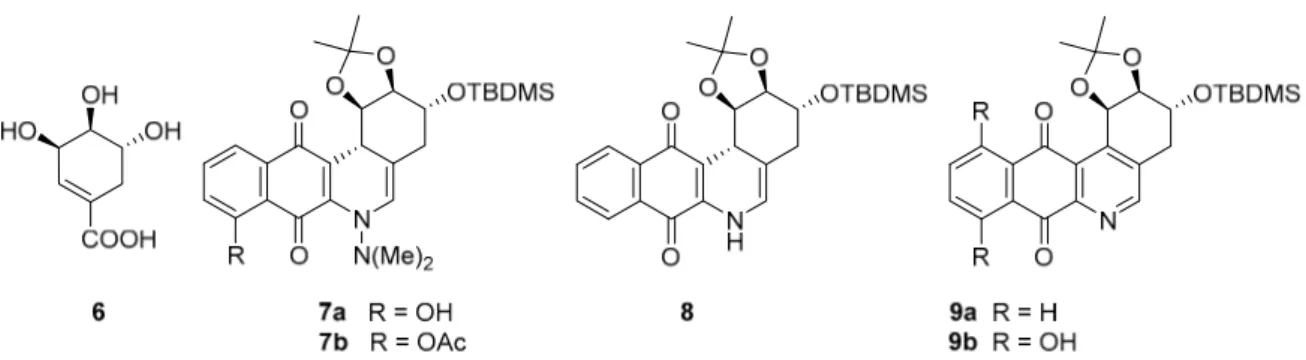 Figure 2. Chemical structures of (-)-shikimic acid and 6-aza-angucyclinone derivatives