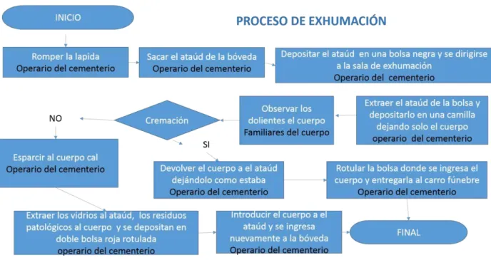 Ilustración 8 Proceso de exhumación 