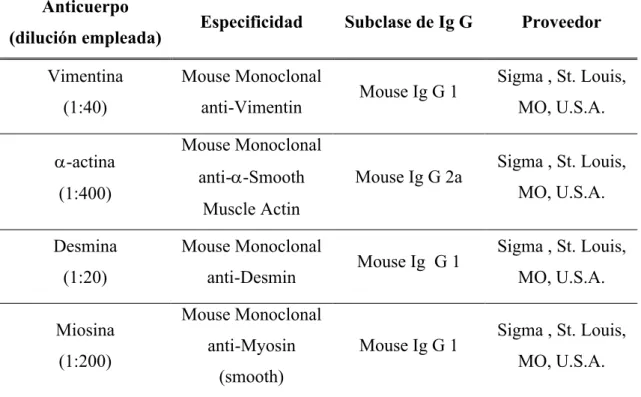 Tabla  II.  Anticuerpos  utilizados  en  inmuhistoquímica:  Marcadores  de  diferenciación miogénicos: 