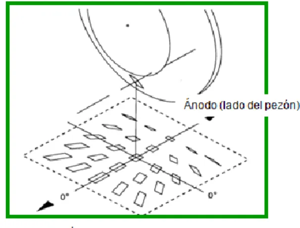 Figura 2. Campo de radiación 