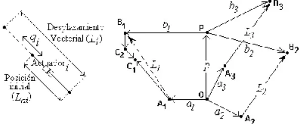 Figura 5: Elongación articular y vectores cerrados asociados a cada cadena cinemática activa