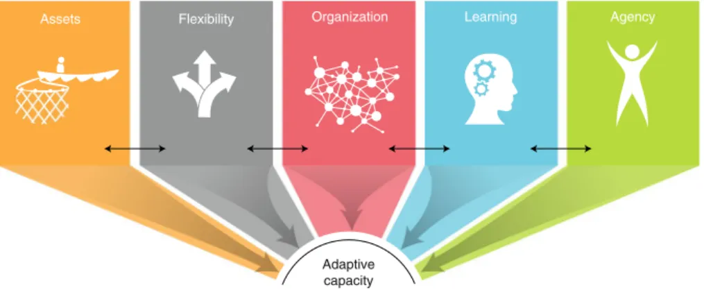 Fig. 1 | Five domains of adaptive capacity to climate change: assets, flexibility, social organization, learning, and agency