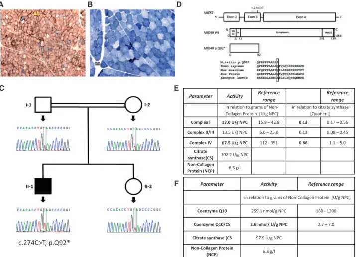 Figure 1. Diagnostic testing of respiratory chain function in skeletal muscle and genetic studies