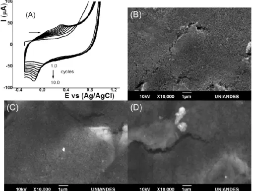 Figure 1. (A) Preparation of electromodified screen-printed carbon (SPC) electrode by cyclic voltammogram (CV) (10 cycles) and scanning electron microscopy (SEM) images of the (B) SPC, (C) chitosan (CS)/SPC electrodes, and (D) ionic liquid (IL)-CS/SPC.