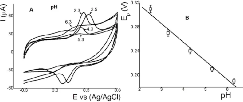 Figure 5 (A) Voltammograms of the effect of the pH (6.3, 5.3, 4.3, 3.3, and 2.5) for 35.0 μmol L −1  of RT,  and  (B)  plots  of  the  dependence  of  anodic  peak  potentials  vs