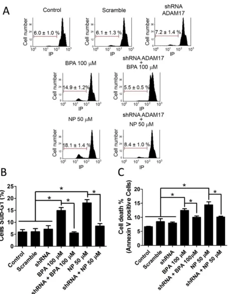 Figure 3. Silencing of ADAM17 prevents an increase in the sub-G1 population and  Annexin-V-positive cells induced by BPA or NP in LNCaP cells