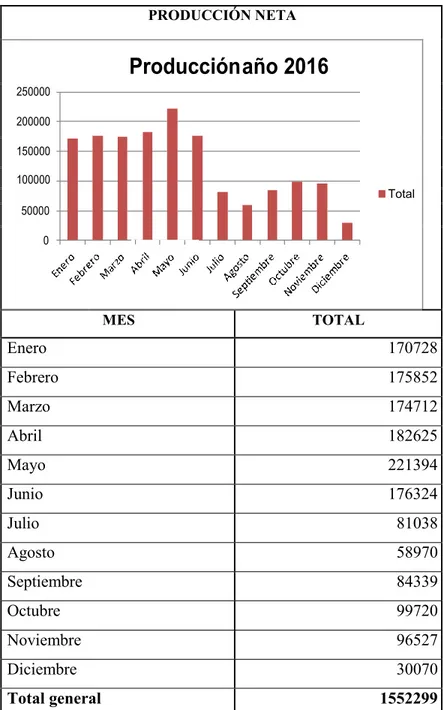 Tabla 2. Producción neta año 2016. (Autores). 