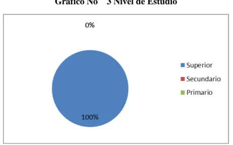 Gráfico No    3 Nivel de Estudio 