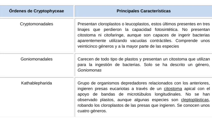 Tabla 1.3: Órdenes pertenecientes a las Cryptophytas.