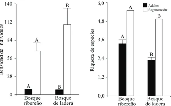 Figura 4. Densidad (individuos/parcela) y riqueza de especies/parcela de árboles en etapa adulta y regeneración en el bosque ribereño  y de ladera (media ± 1 EE)
