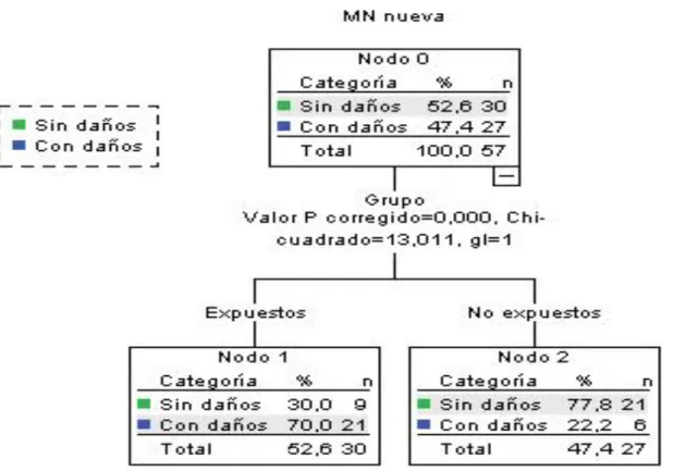 Figura 4- Árbol de asociación entre grupos y la incidencia de MN. 