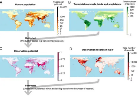 Fig. 3 The global distribution of (A) human population and (B) total species richness of mammals, birds and amphibians