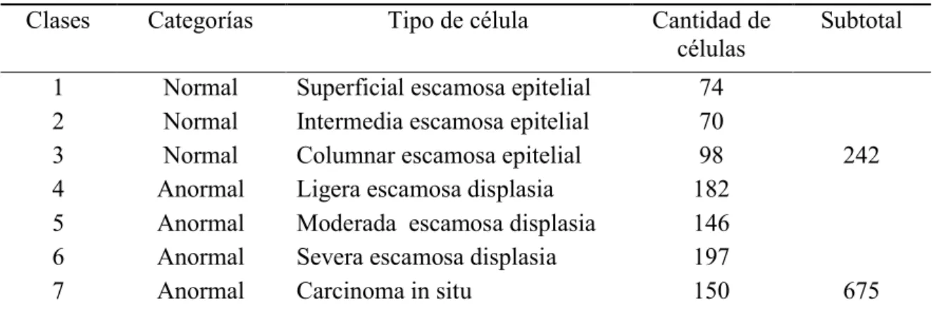 Tabla 3. Codificación de las siete clases. 