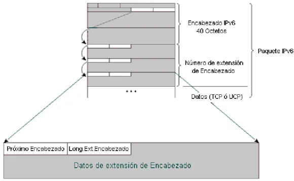 Figura 1.10 Formato Extendido de Encabezado IPv6 