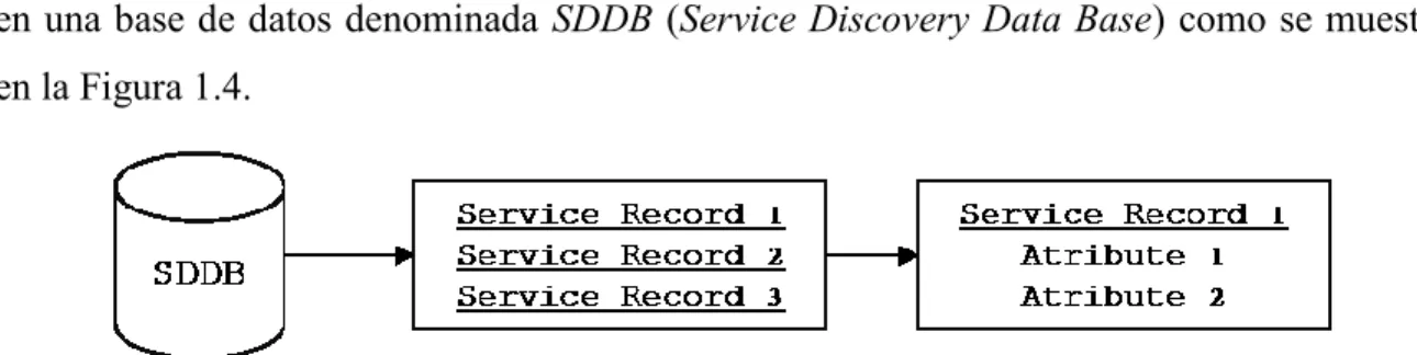 Figura 1.4. Base de Datos de Descubrimiento de Servicios.  Tomado de: J2ME Bluetooth Programming de  André N