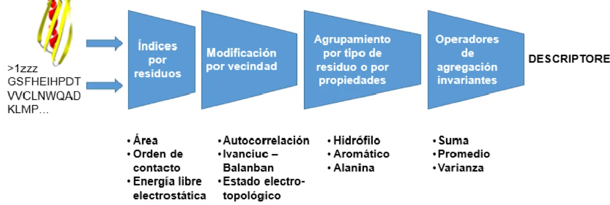 Figura 2. Flujo correspondiente al cálculo de descriptores de ProtDCal. 