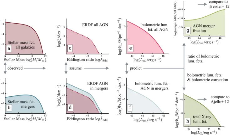 Figure 1. Schematic illustration of our method. Following the approach by W17a, we use an observed galaxy stellar mass function and an assumed ERDF as input to predict the bolometric AGN luminosity function
