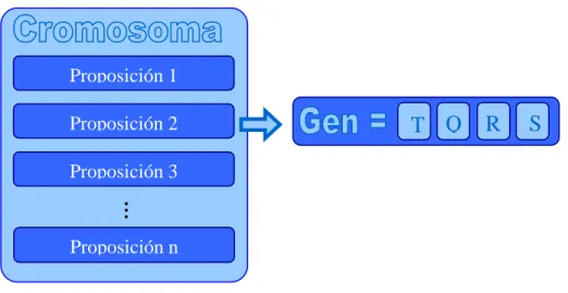 Fig. II-3. Estructura de un cromosoma  