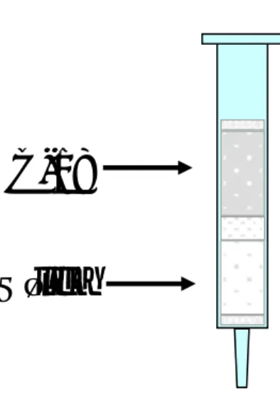 Figura 7: Esquema del cartucho para la extracción empelando MSPD. 