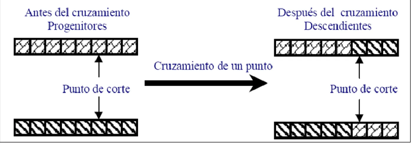 Figura 1.3: Esquema del cruzamiento de un punto 