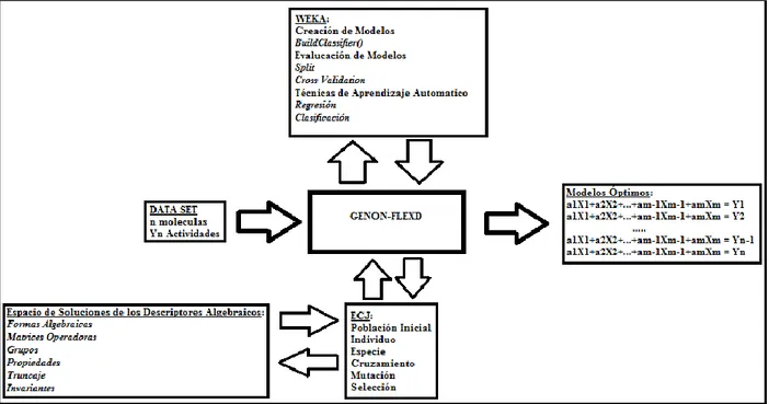 Figura 3.1.1: Esquema General del Funcionamiento de la Aplicación GENOM-FLEXD 