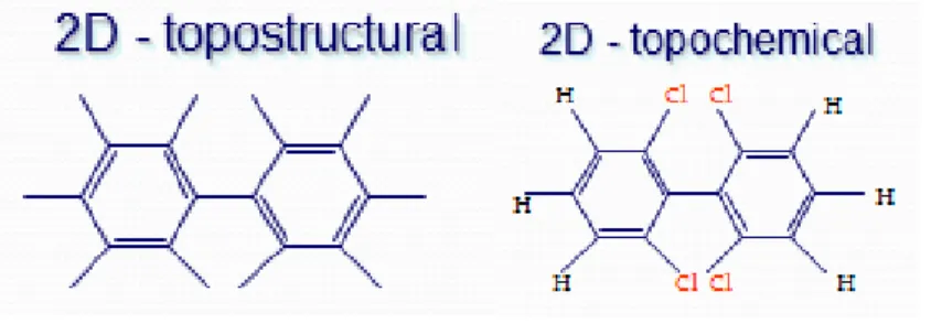 Figura 1.3. Descriptores 2D 