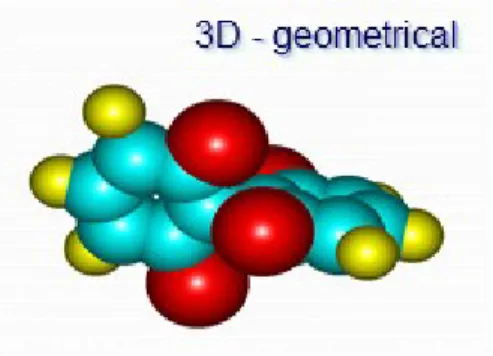 Figura 1.4. Descriptor 3D 