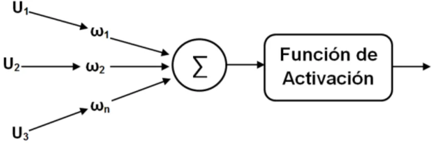 Figura 2.4 : Representaci´ on de una neurona