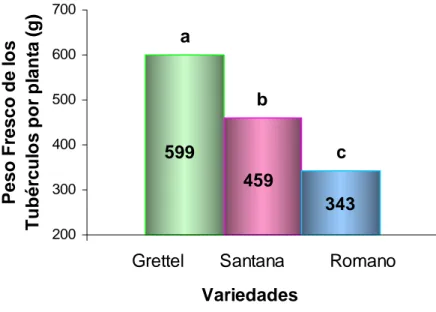 Figura 13: Comparación entre el masa fresca de los tubérculos (g) y variedades de papa