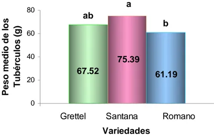 Figura 16: Comparación entre el  peso medio de los tubérculos por planta y  variedades de  papa
